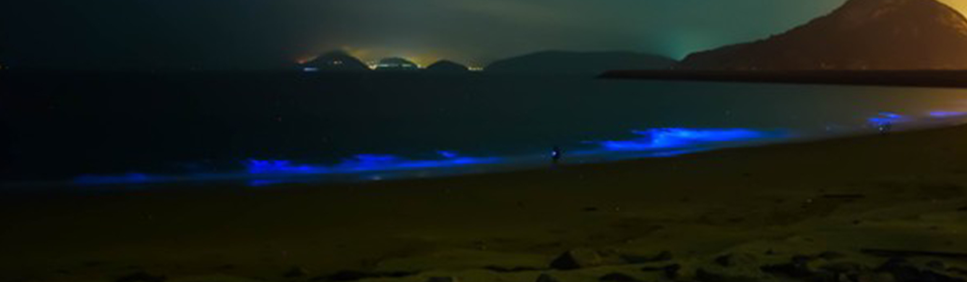 【團體旅遊豐富行】北海坑道尋找藍眼淚、大邱鹿兒島、媽祖巨神像、馬祖南北竿大坵三日趣